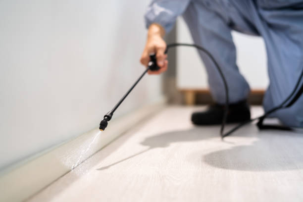 Rodent Entry Point Assessment in Northview