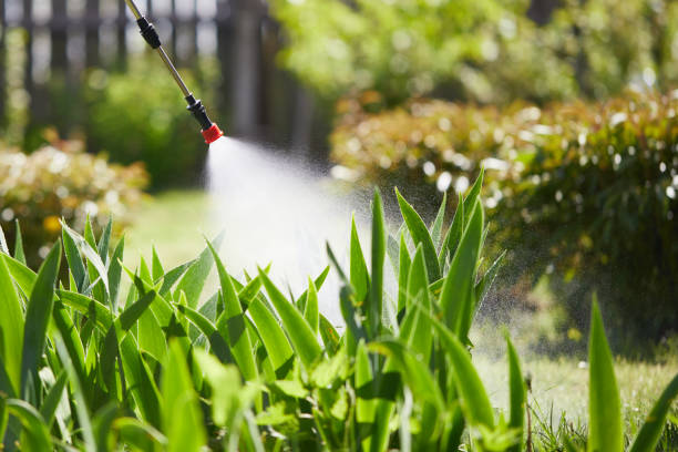 Tamper-Resistant Bait Stations for Rodents in Northview