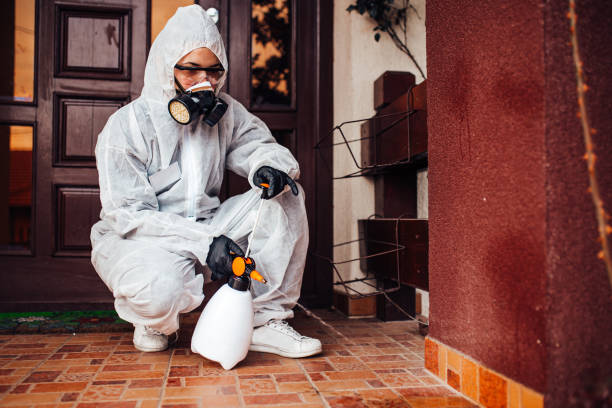 Attic and Crawl Space Rodent Treatment in Northview
